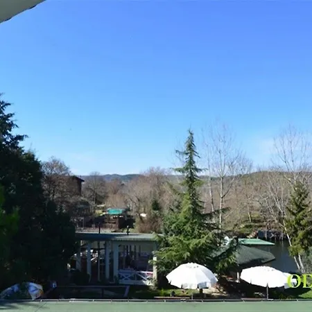 Tree Tops Park Hotell *