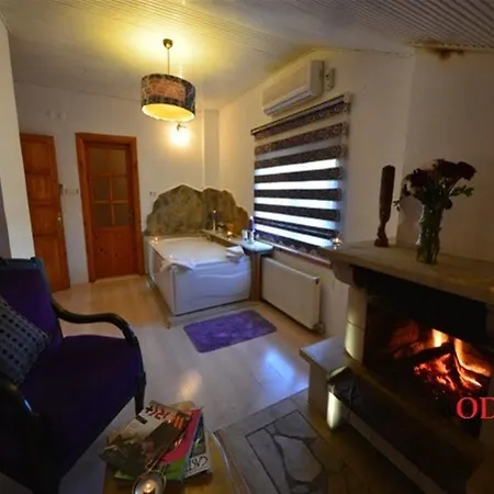 Hotell Tree Tops Park Ağva