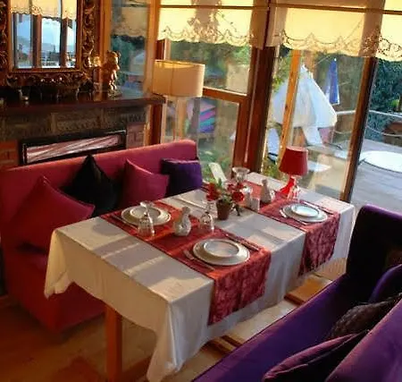 Tree Tops Park * Ağva