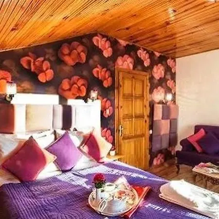 Tree Tops Park Hotell