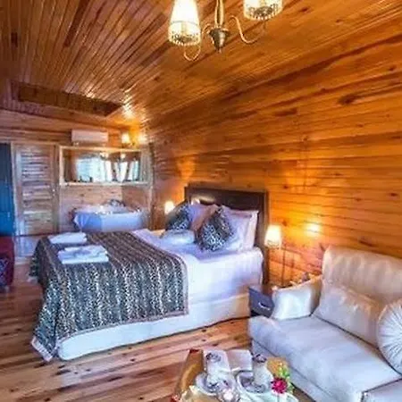 Hotell Tree Tops Park