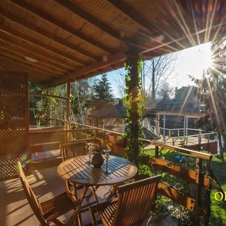 Tree Tops Park Hotel