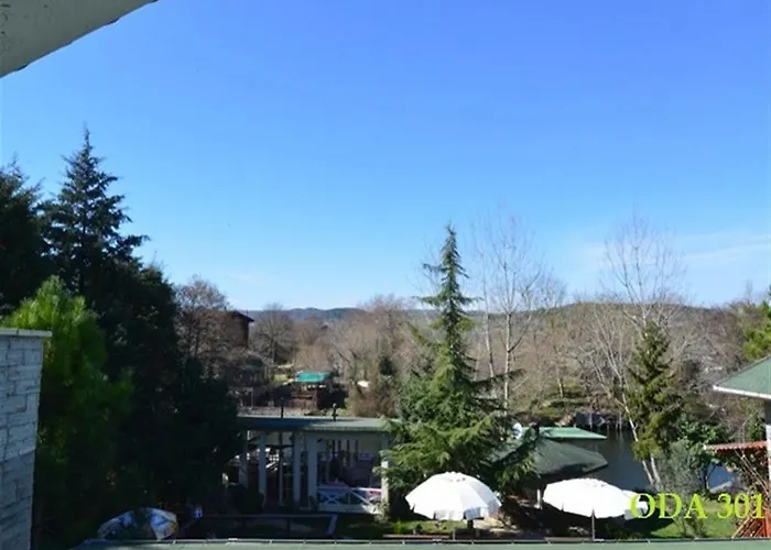 Tree Tops Park מלון *