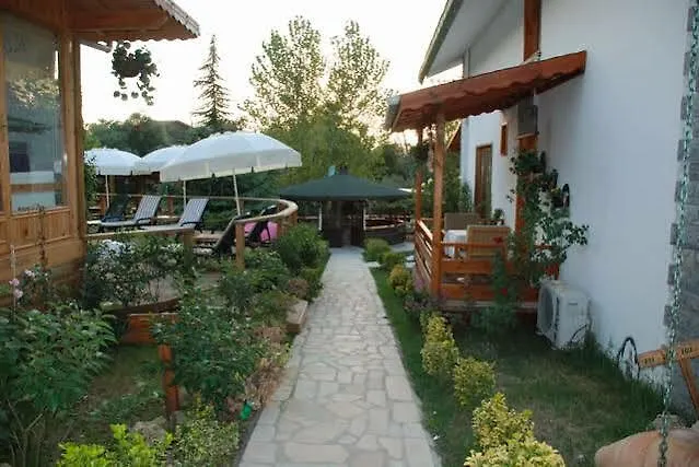 Tree Tops Park מלון *