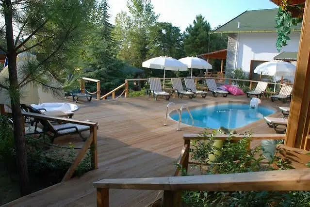 Tree Tops Park מלון אגווה